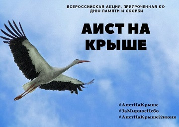 Всероссийская акция "Аист на крыше"