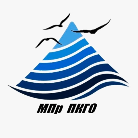 Молодежное правительство.