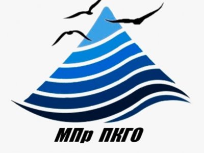 Молодежное правительство.