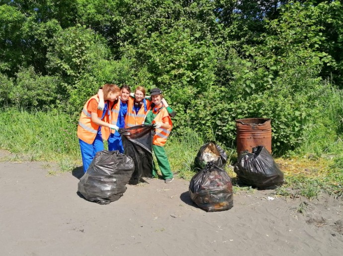 День окружающей среды День окружающей среды