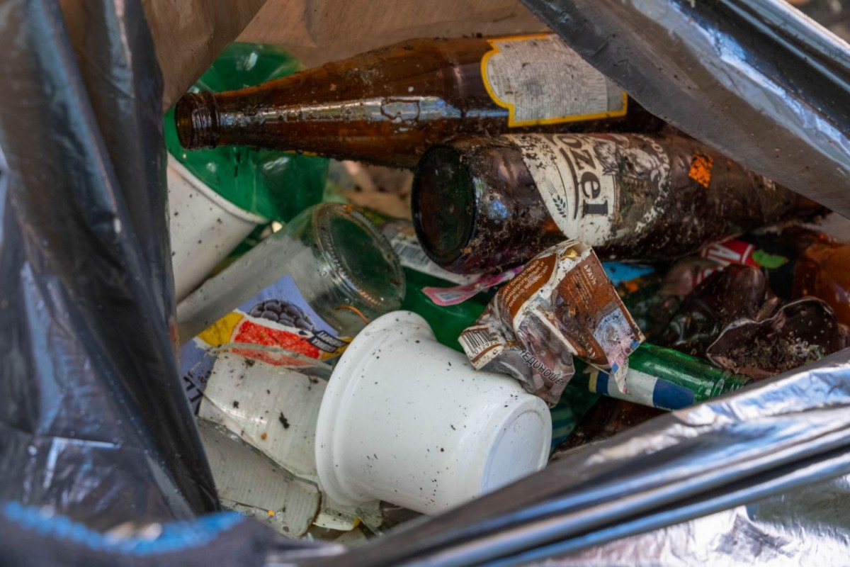 Экологическая акция осени! 2 Экологическая акция осени! 2