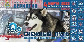 Фестиваль зимних видов спорта 