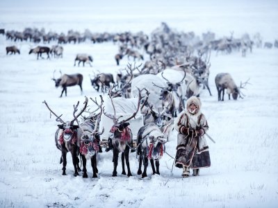 Медиапроект 