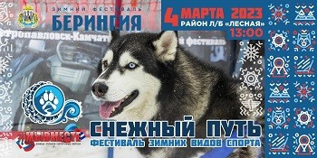 Фестиваль зимних видов спорта "Снежный путь #МЫВМЕСТЕ" Фестиваль зимних видов спорта "Снежный путь #МЫВМЕСТЕ"