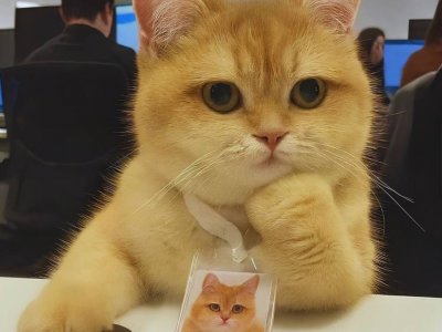 Ищем бригадиров на летнее трудоустройство! 21+