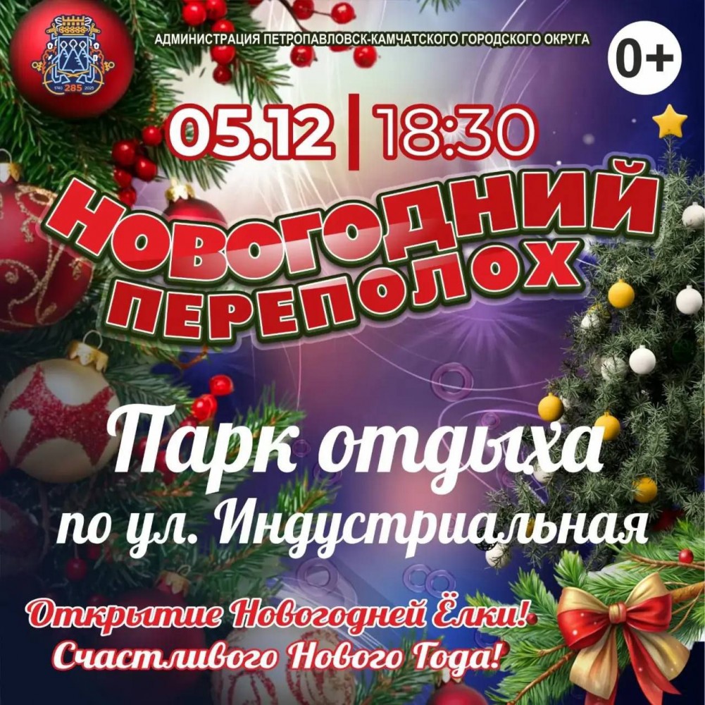 Эстафета открытия новогодних ёлок! 0
