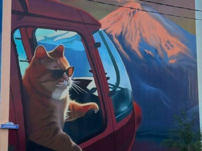 бохняка-17